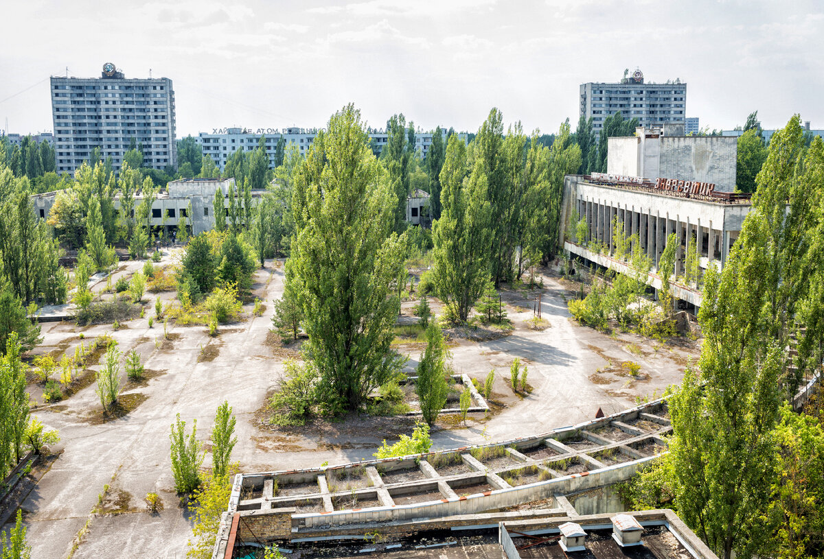 After a nuclear war, humanity will face hunger for 15 years 4