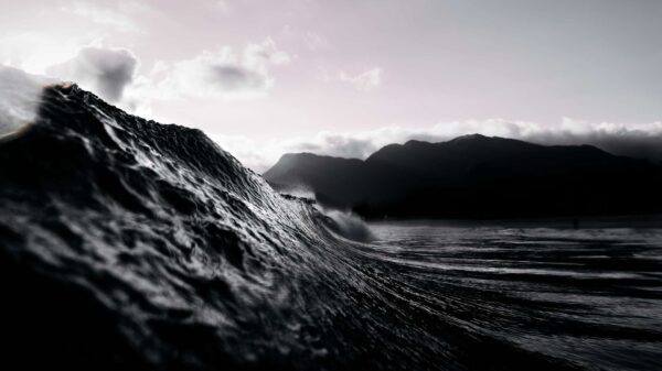 A new black wave is approaching but this has been written about a long time ago 7