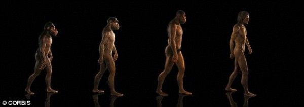 Dies sind die Mutationen, die die menschliche Spezies in den nächsten 1000 Jahren durchmachen wird 6 Dies sind die Mutationen, die die menschliche Spezies in den nächsten 1000 Jahren durchmachen wird 6