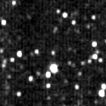 Who's Hiding in the Kuiper Belt ... The New Horizons Case