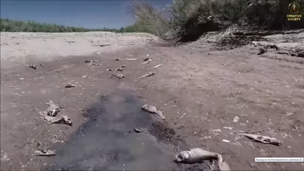 Atmen Sie die Erde ein und aus. Warum verschwindet Wasser auf der ganzen Welt?