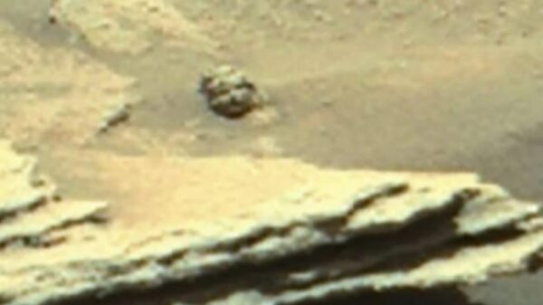 Statues, UFOs and some kind of lights. Red Planet's curious sights on the ground and in the sky 21