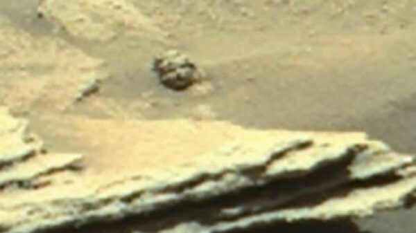 Statues, UFOs and some kind of lights. Red Planet's curious sights on the ground and in the sky 24