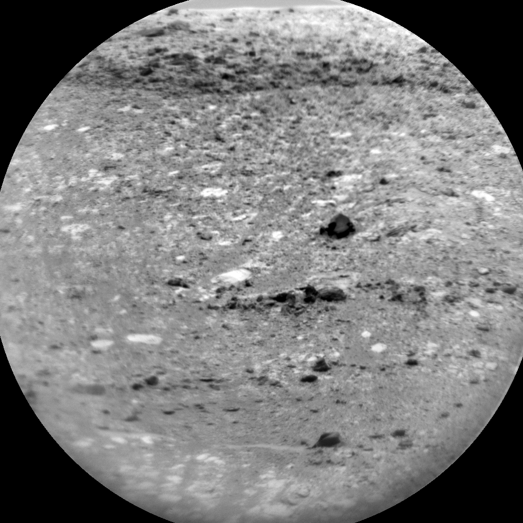 Weltraum-Kannibalismus: Wissenschaftler haben düstere Vorhersagen über die Besiedlung des Mars 2 geäußert Weltraum-Kannibalismus: Wissenschaftler haben düstere Vorhersagen über die Besiedlung des Mars 2 geäußert
