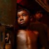 The "chocolate factory": how one of the most cruel and profitable businesses in the world still works 10