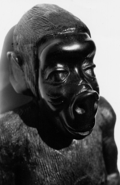 Agogwe2