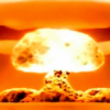 Flash on the left! How to survive after nuclear explosions if the third world war starts? 16
