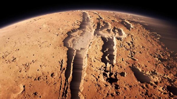 Woman Claiming To Be Former NASA Employee Says She Saw Humans Walking On Mars In 1979 16