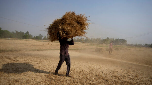 Unprecedented heat wave and fires in India. The global food crisis will now be guaranteed 5