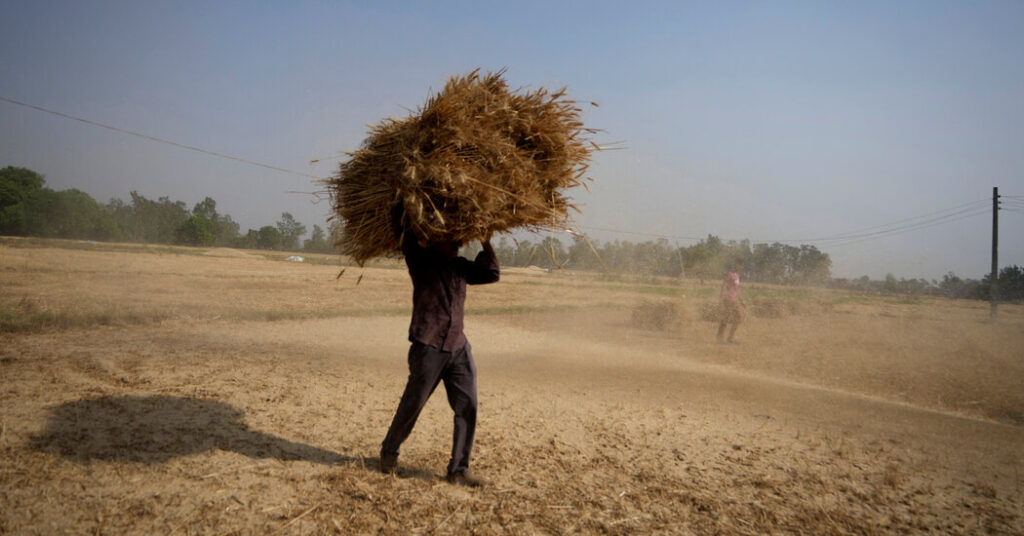 Unprecedented heat wave and fires in India. The global food crisis will now be guaranteed 1