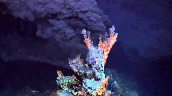 Oceanographers have discovered the largest and hottest geothermal field in the East Pacific with signs of a possible imminent eruption in the Pacific Ocean 12