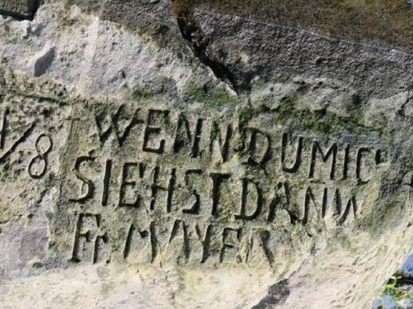 Hunger stones appeared in the rivers of Germany and the Czech Republic while European Union urges its citizens to 'eat crickets, worms and grasshoppers' instead of meat 3