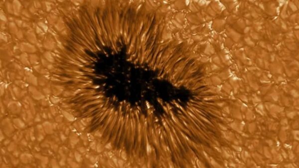 Cosmic Alert: Sunspot 'muzzle' magnified 10 times and aimed at Earth 6
