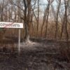 "Blag fog" is resident in Chernobyl's exclusion zone. A different life form or an unknown phenomenon? 19