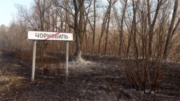 "Blag fog" is resident in Chernobyl's exclusion zone. A different life form or an unknown phenomenon? 37