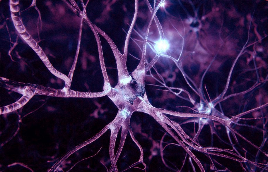 Quantum mirror and the global management of our energies: What do we really know about neurons and information encoding? 1