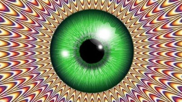 We can't see reality and everything that we perceive is an illusion created only by our imagination 20