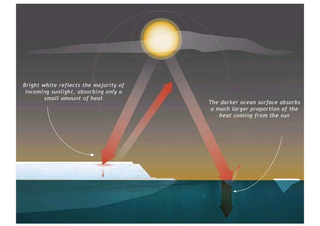 Polar ice caps stopped melting? Arctic sea ice continues to increase with an unusual