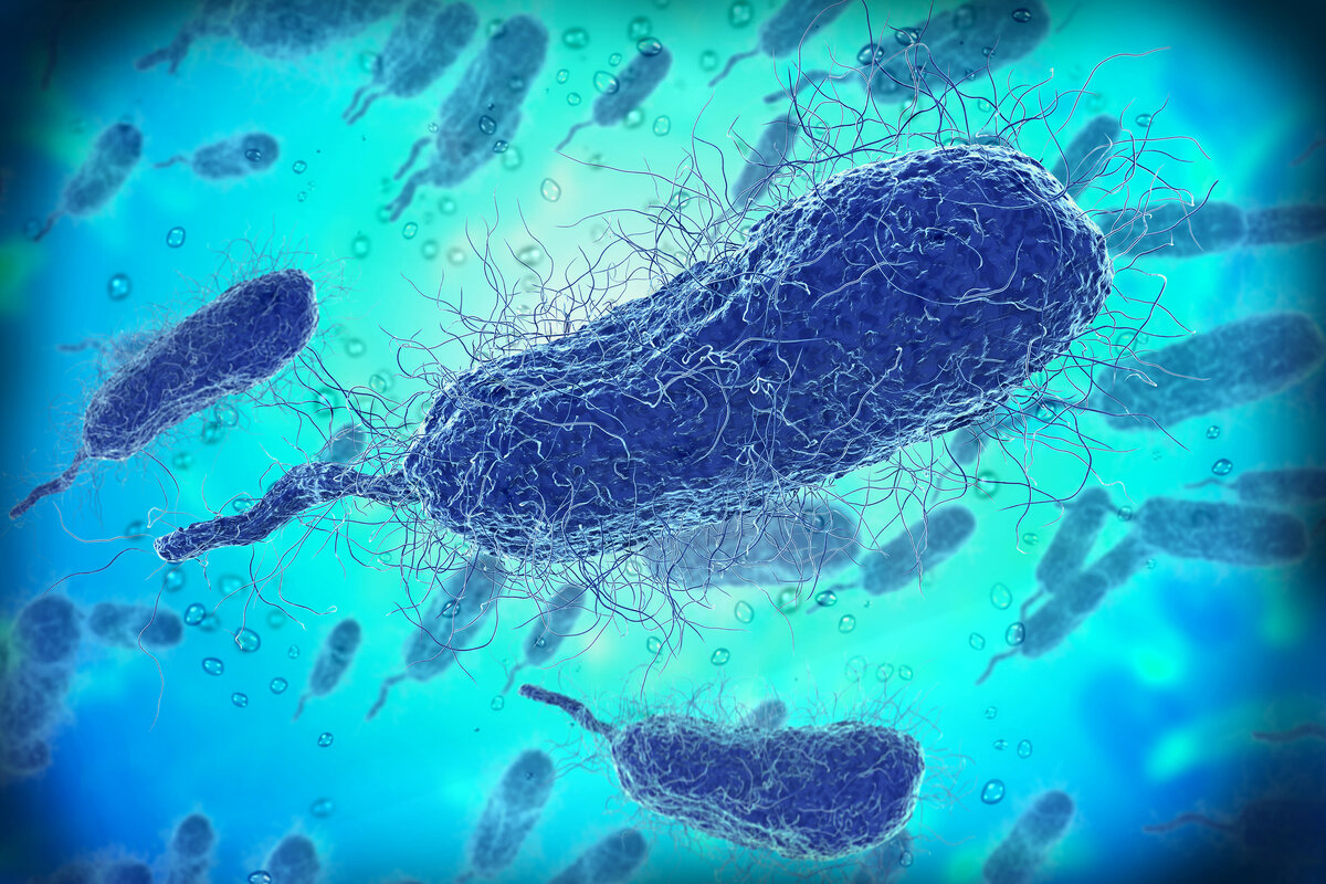 Искусственная бактерия «Синтия» с неестественной ДНК, поедающая живые организмы