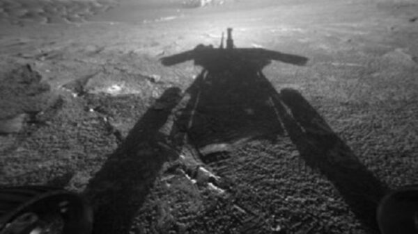 Among the rocks: Former NASA employee told about the alien 'smartphone' device delivered from Mars 14