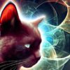 In the footsteps of Schrödinger's cat: how fractals and quantum physics can explain the mystery of consciousness 42