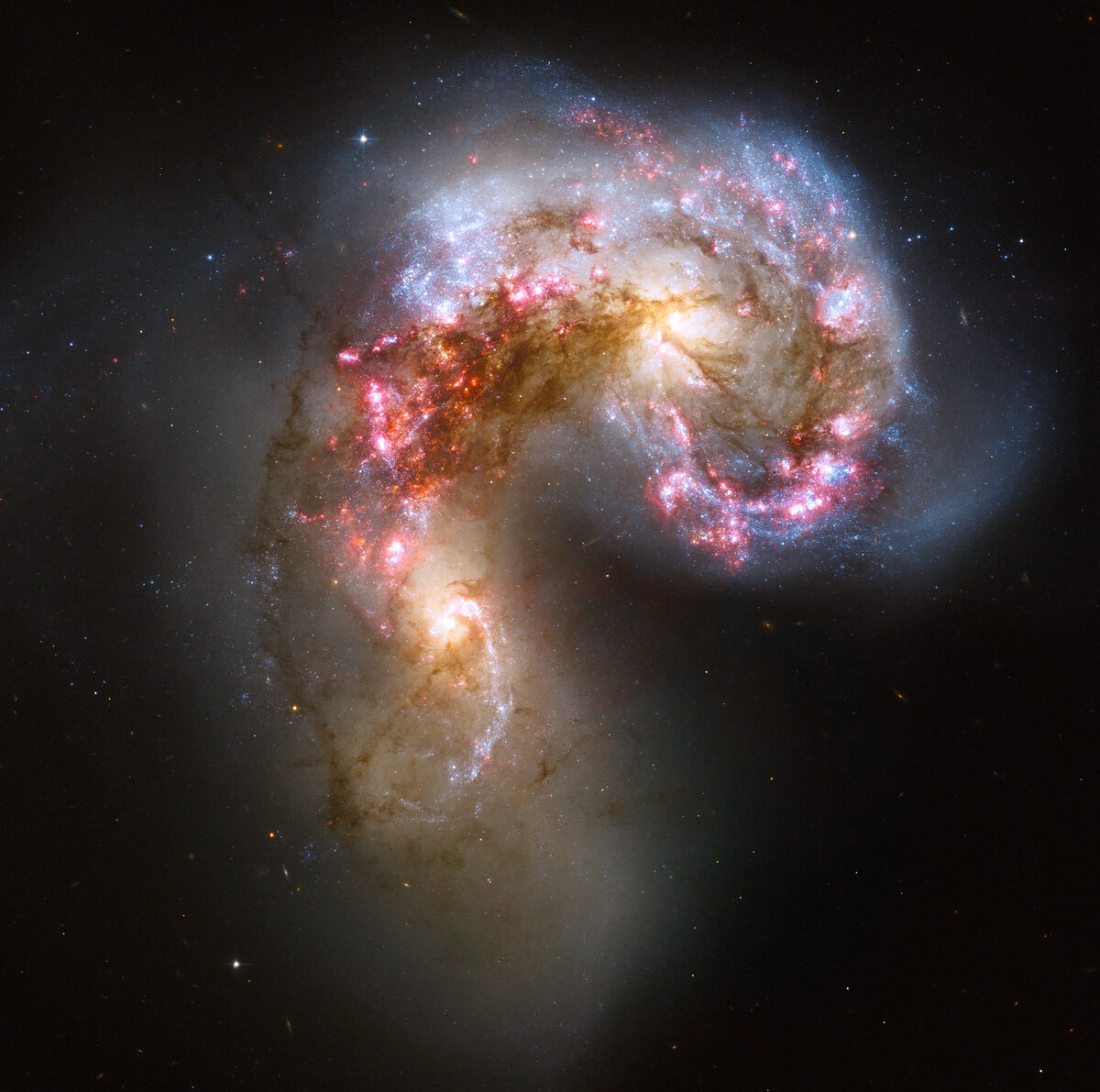Interacting galaxies Antennas from the constellation of the Crow, they are also undergoing very active star formation