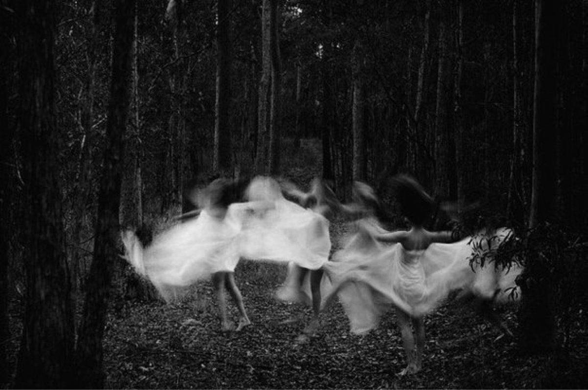 "Witches in the Woods"