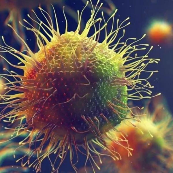 Cosmic infection with no terrestrial counterparts: Alien viruses discovered on Earth and scientists cannot understand their structure and purpose 3