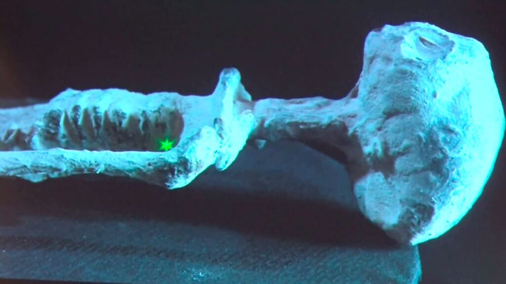 The new planetary deception? 1000-year-old alien fossils were presented to Mexican Parliament 1