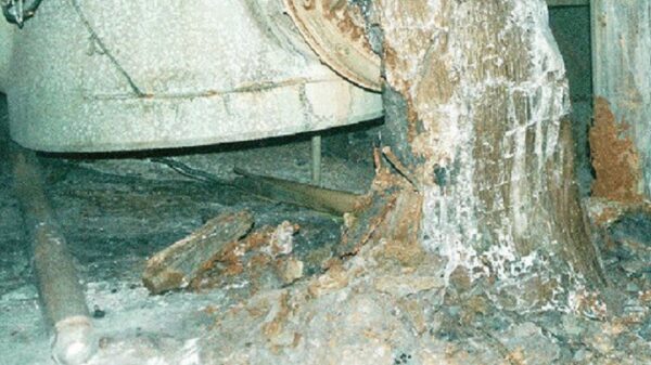 “Kills in 5 minutes”: where the most dangerous nuclear waste on Earth is located 1