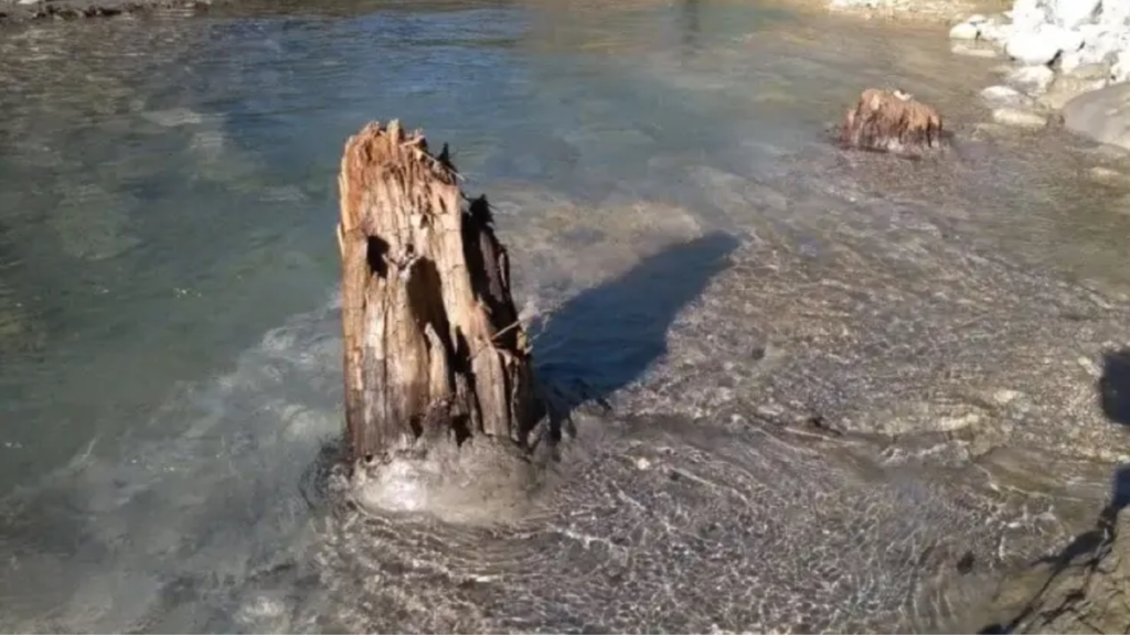 Starke magnetische Stürme werden alle Geräte „wegfegen“. Das 9. Ereignis und die Vorhersage gefährlicher Tage vor uns 3 Subfossile Überreste von Bäumen im Fluss Druse / © Cécile Miramont.