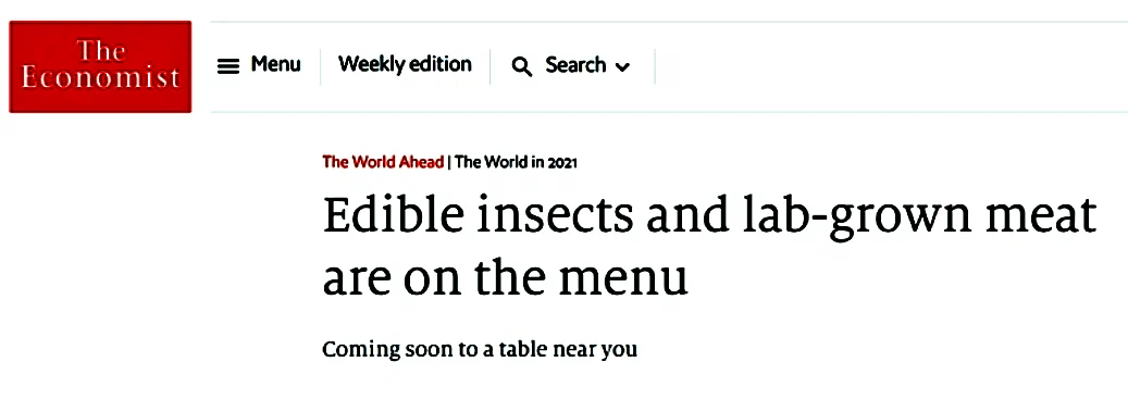 Warum wird das Fressen von Insekten gefördert und warum versuchen Beamte verzweifelt, uns Kakerlaken zu füttern?  Stehen Hungersnöte und Nahrungsmittelknappheit bevor?  6