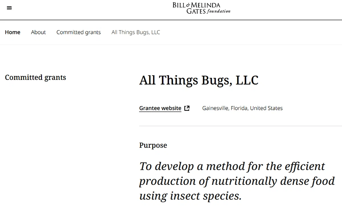 Dlaczego promuje się zjadanie owadów, a urzędnicy desperacko próbują nakarmić nas karaluchami?  Czy nadchodzą czasy głodu i niedoborów żywności?  11