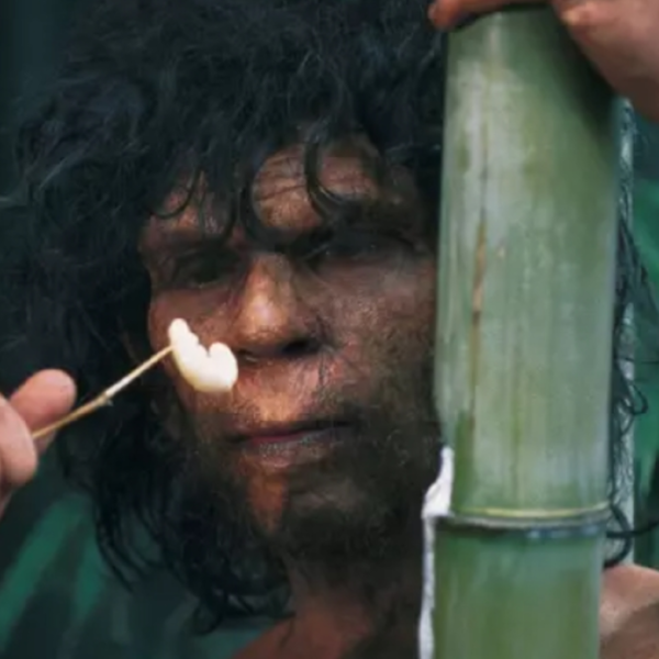 Hominids unknown to science and the 22 gene sets: Someone else took part in the “creation” of the African genome 2
