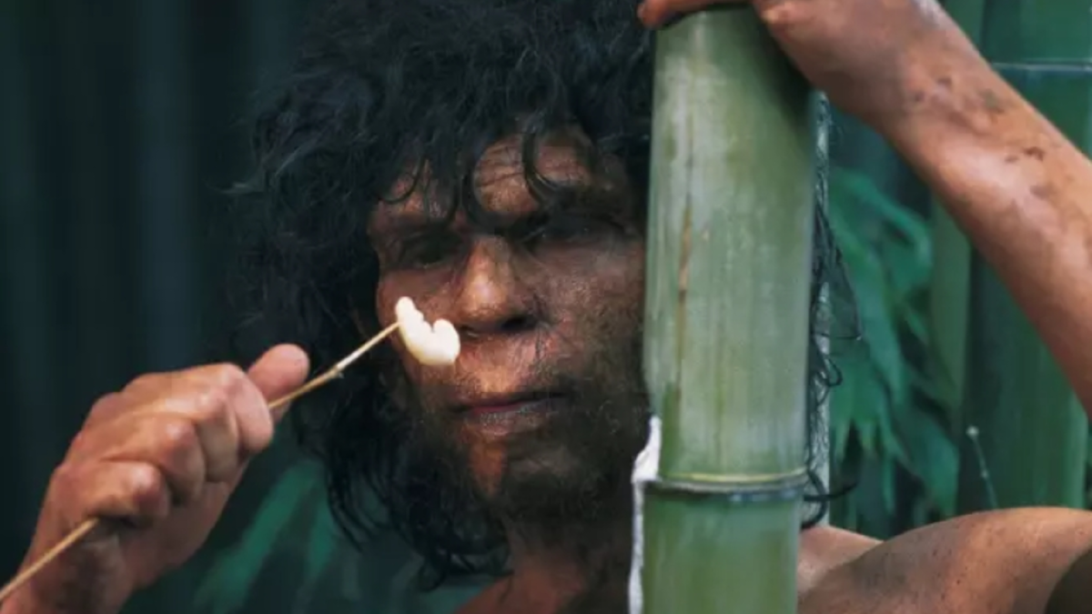 Estimated appearance of a representative of Homo erectus.