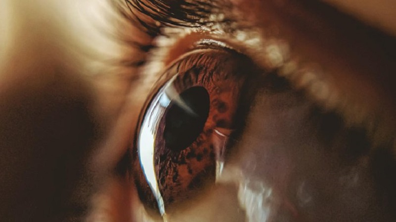 “I want to tell you about life in the otherworld.” On discovery of life beyond the line and the messages from David Hatch received by writer Elsa Barker 1