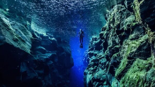 The main contradictions in the theory of plate tectonics. And yet the Earth is expanding, violating the laws of conservation 17