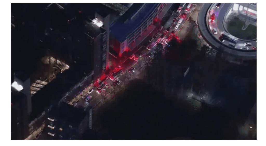 Biomonsters under the Metropolis: Was New York shaken by a possibly artificial earthquake? Another interpretation of what happened 2