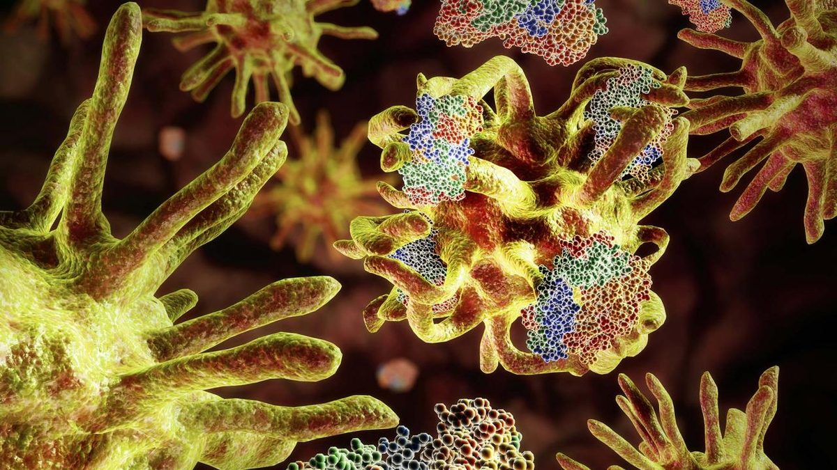 Prionen: Sie steigen aus dem Nichts auf und verwandeln Menschen in zombieähnliche Kreaturen. Die Sterblichkeitsrate liegt bei 100 %, es gibt keine Heilung für sie 8 Die Creutzfeldt-Jakob-Krankheit (CJD) ist eine seltene, degenerative, unweigerlich tödliche Gehirnerkrankung, von der jedes Jahr weltweit etwa einer von einer Million Menschen betroffen ist.-7
