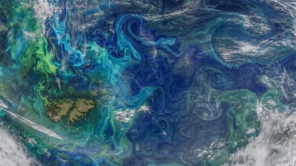 “We are approaching a turning point.” Scientists: The Gulf Stream will stop in 2025 6