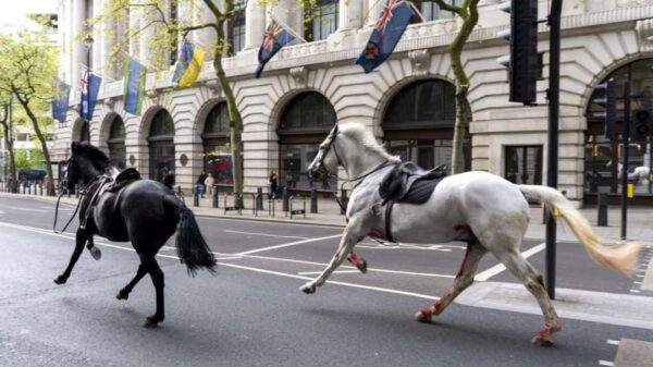Big Ben came to a halt in London as the Horses of the Apocalypse charged through the city 4