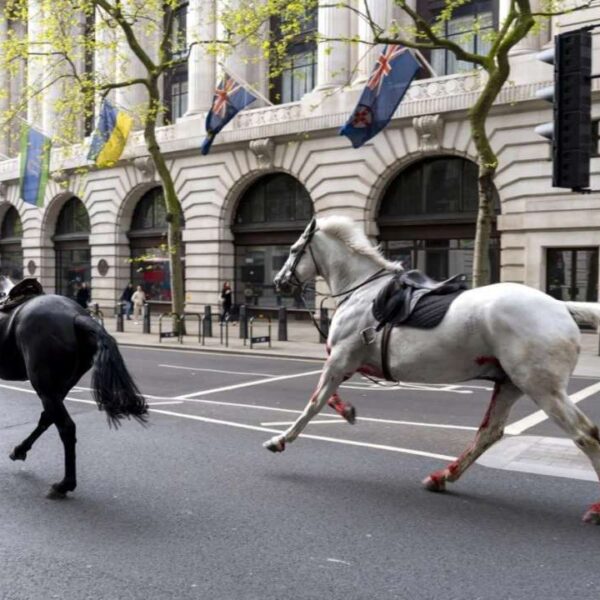 Big Ben came to a halt in London as the Horses of the Apocalypse charged through the city 2