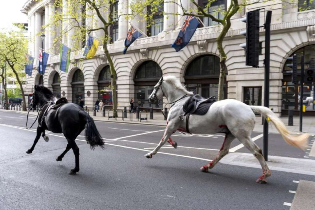 Big Ben came to a halt in London as the Horses of the Apocalypse charged through the city 1