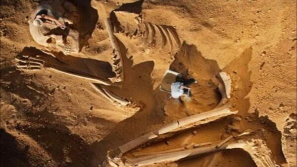 No "expert" can give a clear answer so denial has stopped: 'Skeletons of giants' in Nevada intrigue archaeologists 4