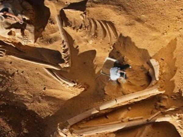 No "expert" can give a clear answer so denial has stopped: 'Skeletons of giants' in Nevada intrigue archaeologists 3
