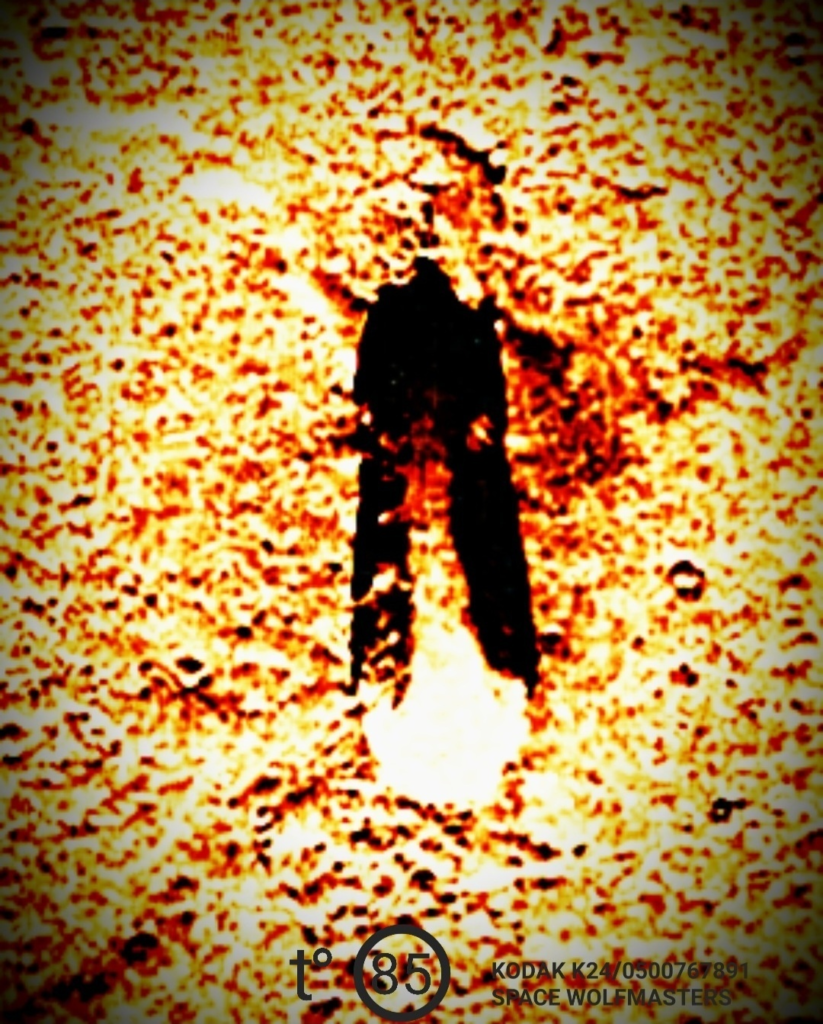 The object in the photograph originates from the surface of Mars. What might astronomers speculate it to be? 2