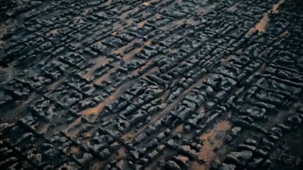The artifacts from Africa compel us to reevaluate the entirety of accepted history 7