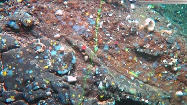 Scientists have announced a monumental discovery: an underwater robot has identified the legendary Atlantis 7