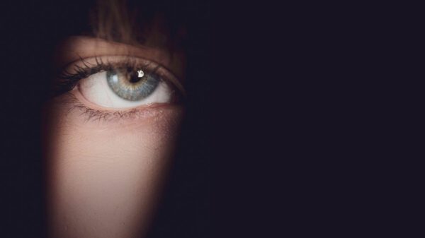 Déjà vu: Cognitive insights into the mysterious experience 7