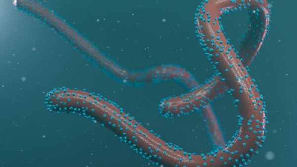 On the brink of a new pandemic: Covid and Marburg fever outbreaks or weapon systems? 6